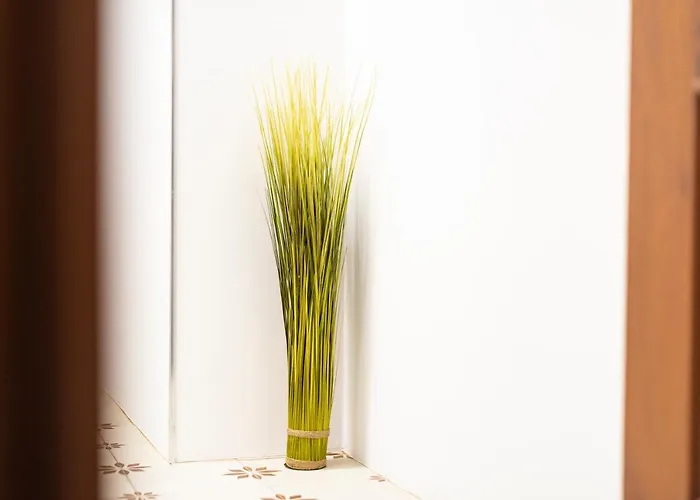 Carmina Daire Puentedeume